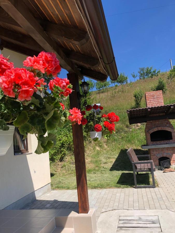 Cabana 7 Brazi Almafatelep Kültér fotó