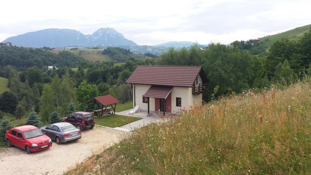 Cabana 7 Brazi Almafatelep Kültér fotó