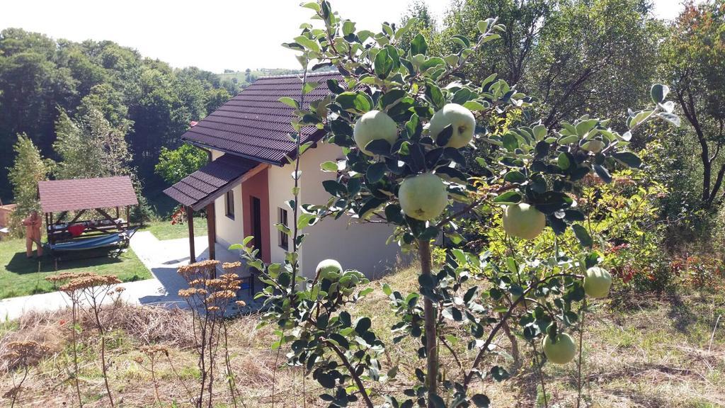 Cabana 7 Brazi Almafatelep Kültér fotó